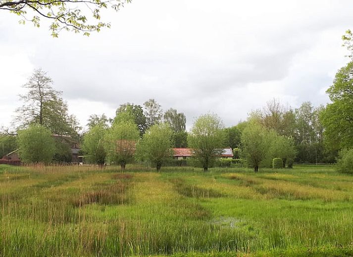 Verblijf 300416 - Vakantiewoning Gelderse vallei - Vakantiehuis in Brummen