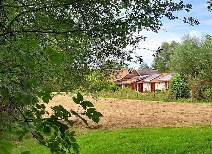 Verblijf 300416 - Vakantiewoning Gelderse vallei - Vakantiehuis in Brummen