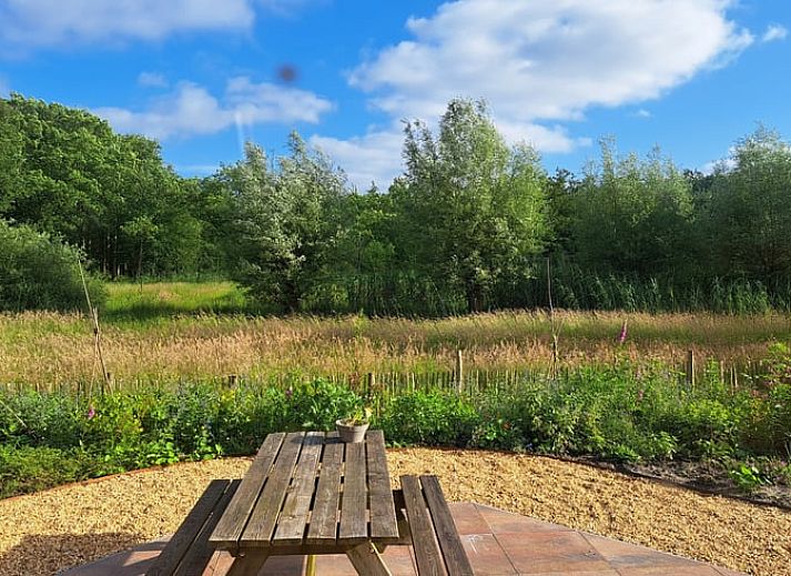 Verblijf 300416 - Vakantiewoning Gelderse vallei - Vakantiehuis in Brummen