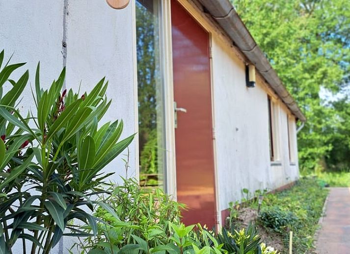 Verblijf 300416 - Vakantiewoning Gelderse vallei - Vakantiehuis in Brummen