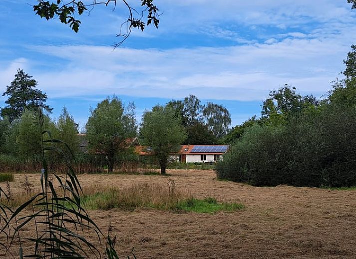 Verblijf 300416 - Vakantiewoning Gelderse vallei - Vakantiehuis in Brummen