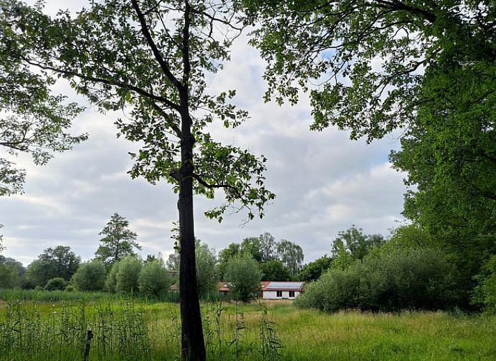 Verblijf 300416 - Vakantiewoning Gelderse vallei - Vakantiehuis in Brummen