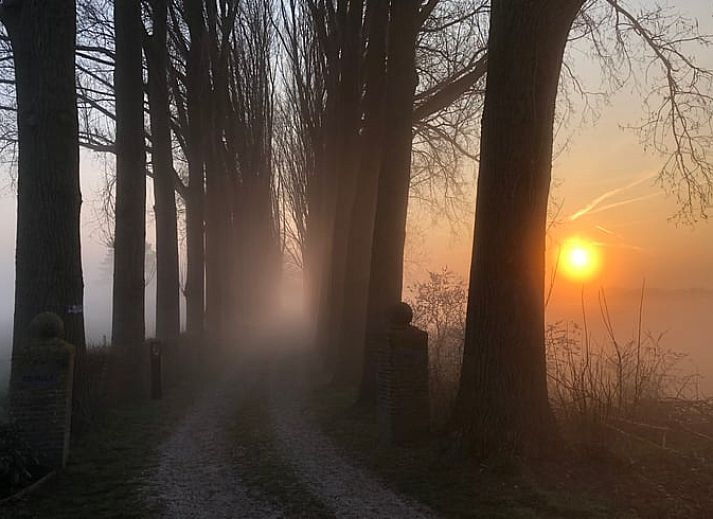 Unterkunft 300605 - Ferienhaus Gelderse vallei - Vakantiehuisje in Bronkhorst