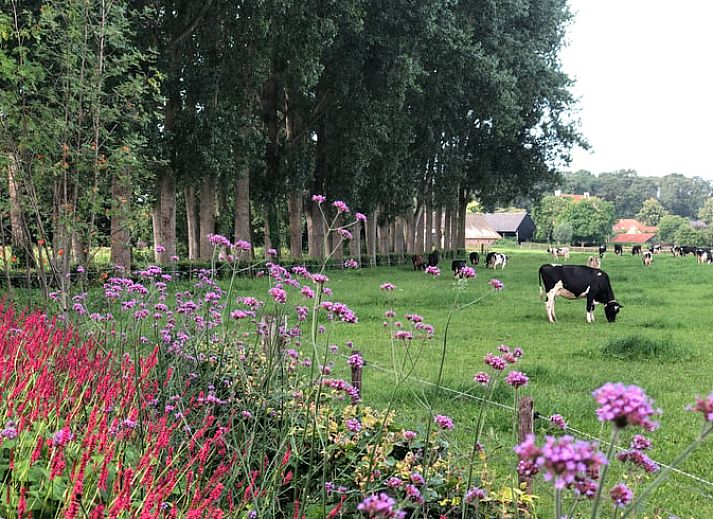 Unterkunft 300605 - Ferienhaus Gelderse vallei - Vakantiehuisje in Bronkhorst