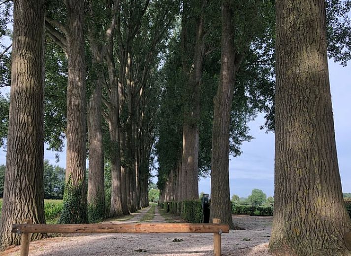 Unterkunft 300605 - Ferienhaus Gelderse vallei - Vakantiehuisje in Bronkhorst