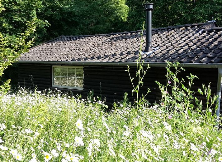 Huisje in Empe, vakantiehuis omringd door groen en rust in Gelderse vallei, Gelderland.