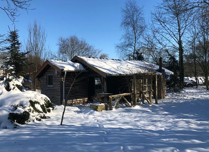 Natuurrijke omgeving bij Huisje in Empe, vakantiehuis in Gelderse vallei, Gelderland.