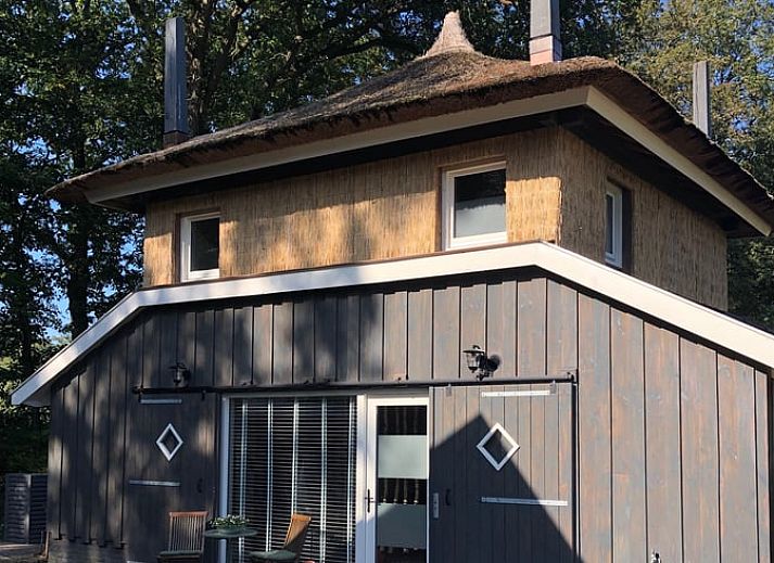 Charmant exterieur van Huisje in Empe, vakantieverblijf in Gelderland, omgeven door bomen.