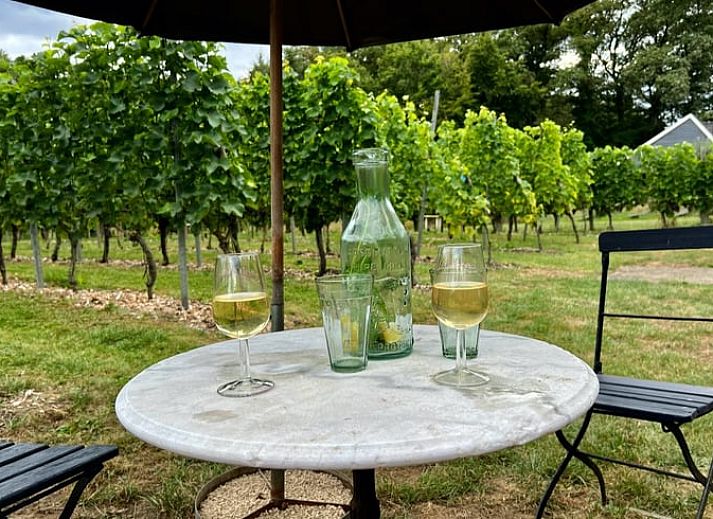 Eetgedeelte in Huisje in Empe, vakantiehuis Gelderland, met houten tafel en rustieke inrichting.