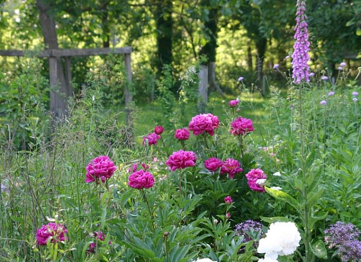 Ruime zithoek in Huisje in Empe, vakantiehuis Gelderse vallei, met uitzicht op de tuin.