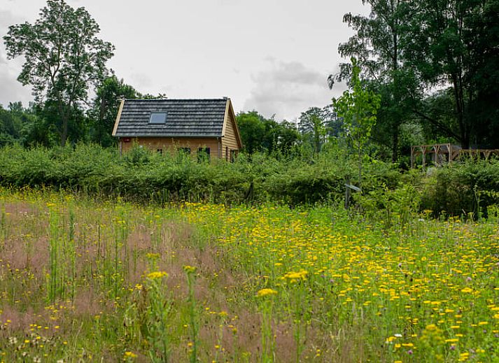 Gezellige eetruimte van Vakantiehuis in Empe, Gelderse vallei, met uitzicht op groene natuur en sfeervolle houtkachel.
