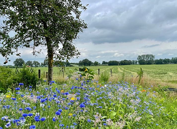 Unterkunft 300806 - Ferienhaus Gelderse vallei - Huisje in Empe