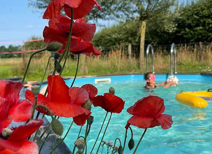 Unterkunft 300806 - Ferienhaus Gelderse vallei - Huisje in Empe