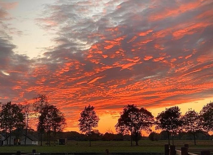 Unterkunft 300808 - Ferienhaus Gelderse vallei - Vakantiehuisje in Empe