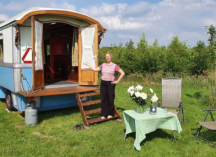 Vakantiehuis in Empe biedt een unieke glamping ervaring met een kleurrijke woonwagen in de Gelderse vallei, omgeven door groen.