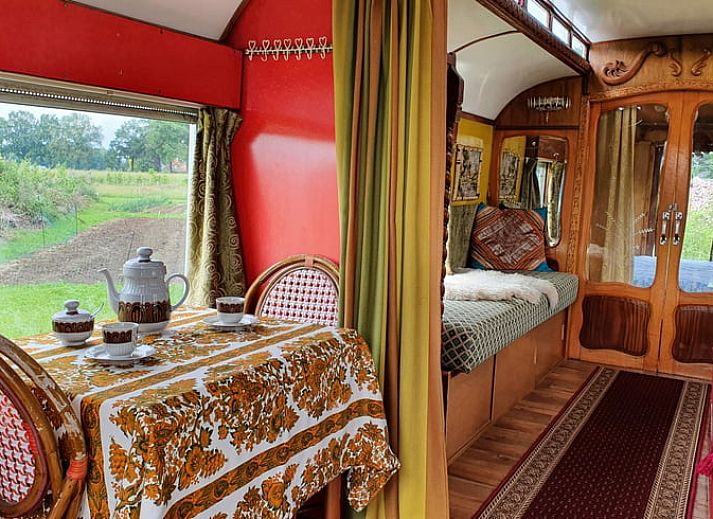 Vakantiehuis in Empe biedt een unieke glamping ervaring met een kleurrijke woonwagen in de Gelderse vallei, omgeven door groen.