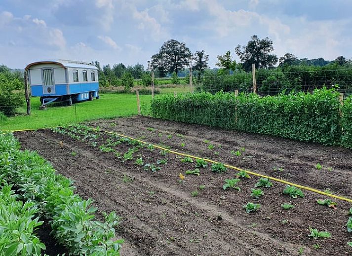 Binnenruimte van Vakantiehuis in Empe toont een gezellige woonwagen met kleurrijke gordijnen en houten details in Gelderland.