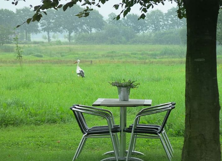 Stijlvolle stoelen in Vakantiehuisje in Tonden, Gelderse vallei, Gelderland, perfect voor ontspanning.