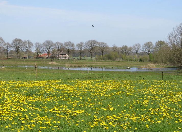 Compacte keuken van Vakantiehuisje in Tonden, Gelderse vallei, Gelderland met open planken.