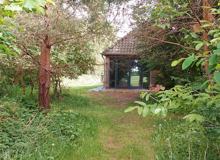 Verblijf 300912 - Vakantiewoning Gelderse vallei - Vakantiehuis in Tonden