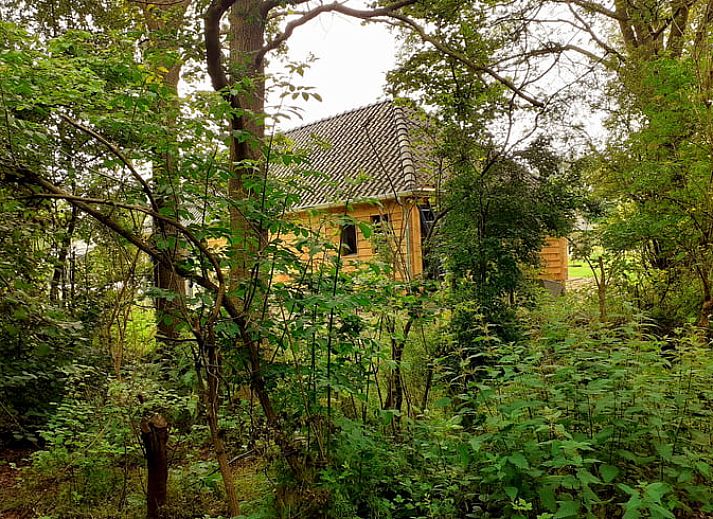 Verblijf 300912 - Vakantiewoning Gelderse vallei - Vakantiehuis in Tonden