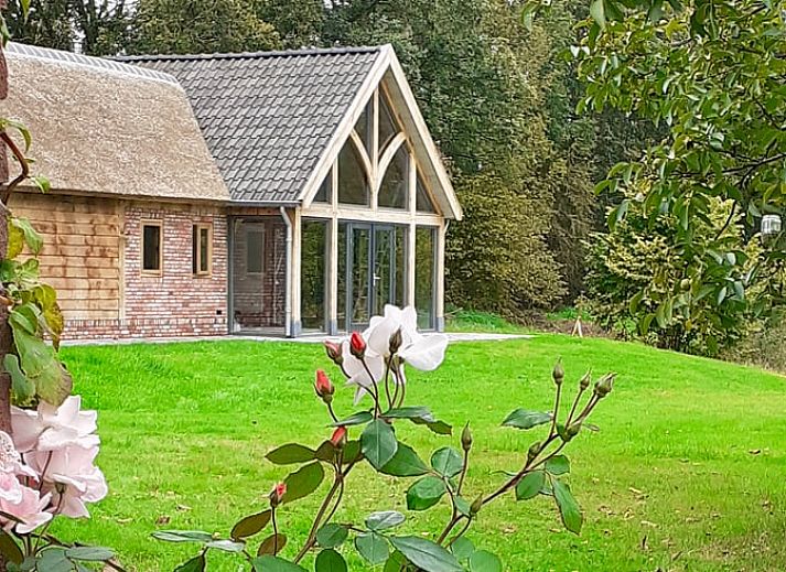 Verblijf 300912 - Vakantiewoning Gelderse vallei - Vakantiehuis in Tonden