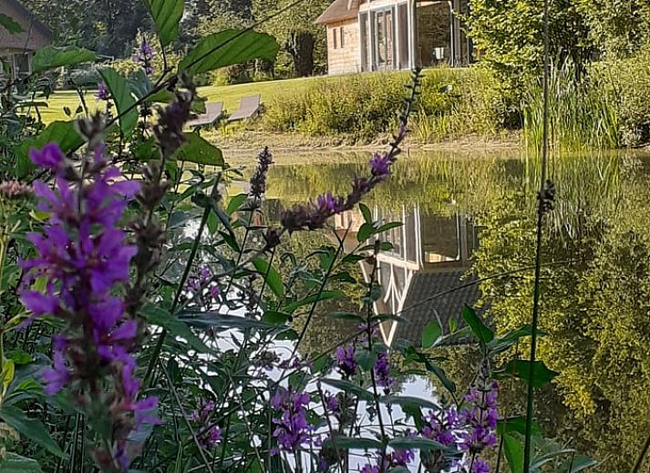 Verblijf 300912 - Vakantiewoning Gelderse vallei - Vakantiehuis in Tonden