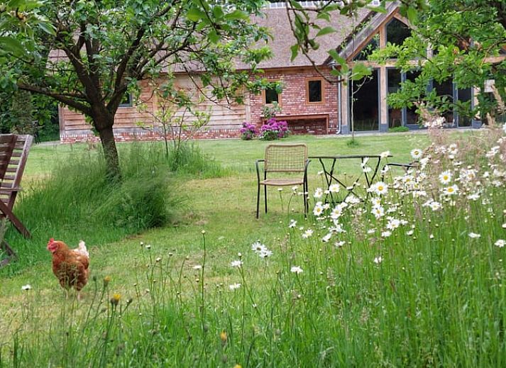 Verblijf 300912 - Vakantiewoning Gelderse vallei - Vakantiehuis in Tonden