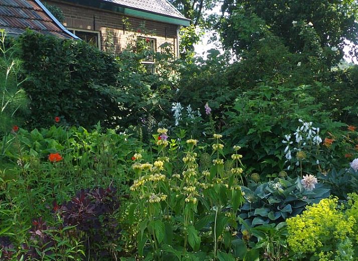 Verblijf 300914 - Vakantiewoning Gelderse vallei - Vakantiehuisje in Tonden
