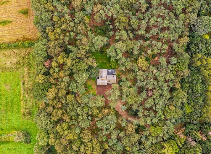 Helles Wohnzimmer im Ferienhaus in Tonden, mit Blick auf den Wald.