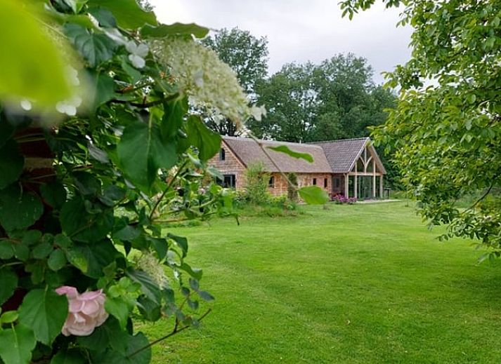 Huisje in Tonden, vakantiehuis in Gelderse vallei, Gelderland, met serene tuin en wilde dieren in natuurlijke omgeving.