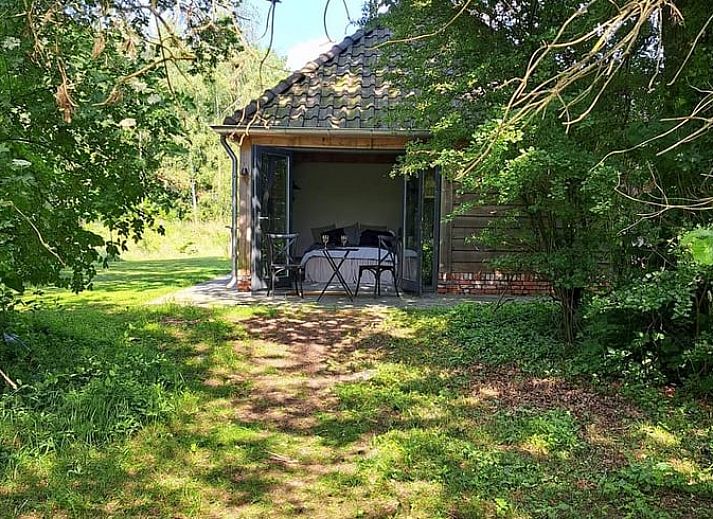 Sfeervol verlicht terras bij Huisje in Tonden, vakantiehuis in de Gelderse vallei, omringd door natuur en kleurrijke bloemen.