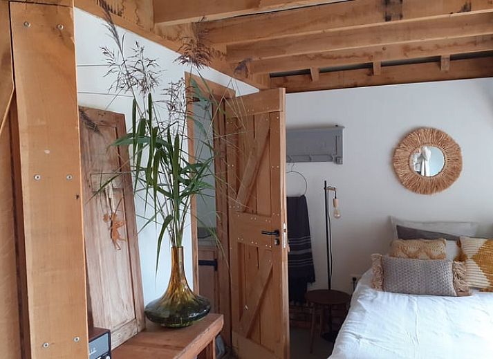 Sfeervol verlicht terras bij Huisje in Tonden, vakantiehuis in de Gelderse vallei, omringd door natuur en kleurrijke bloemen.