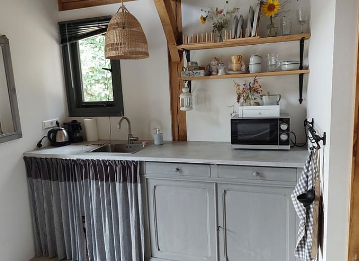 Sfeervol verlicht terras bij Huisje in Tonden, vakantiehuis in de Gelderse vallei, omringd door natuur en kleurrijke bloemen.