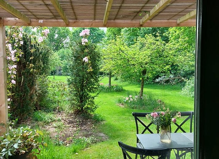 Gezellige binnenruimte van Huisje in Tonden, een vakantiehuis in de Gelderse vallei, Gelderland, met rustieke houten details en tuinzicht.