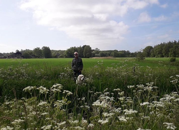 Gemuetlicher Innenraum des Ferienhauses in Voorstonden Gem. Brummen, Ferienhaus im Gelderse Vallei, Gelderland, mit bequemen Sitzgelegenheiten.
