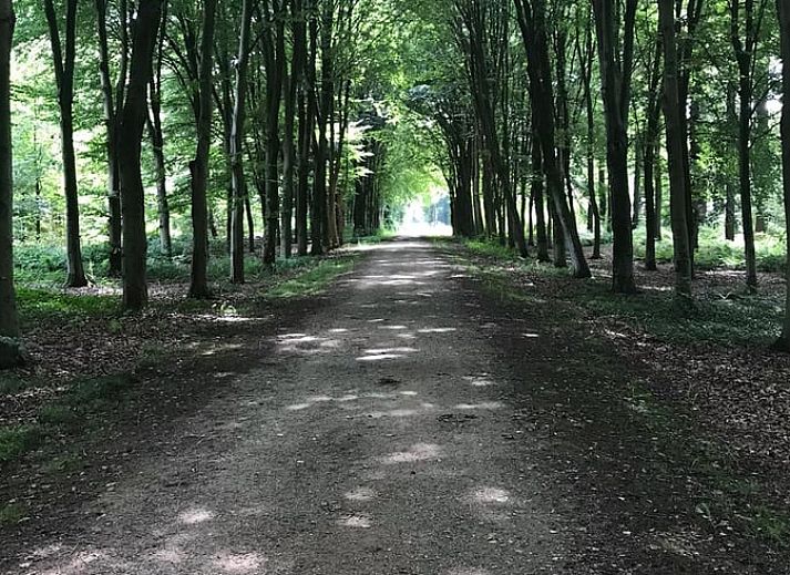 Gemuetlicher Innenraum des Ferienhauses in Voorstonden Gem. Brummen, Ferienhaus im Gelderse Vallei, Gelderland, mit bequemen Sitzgelegenheiten.