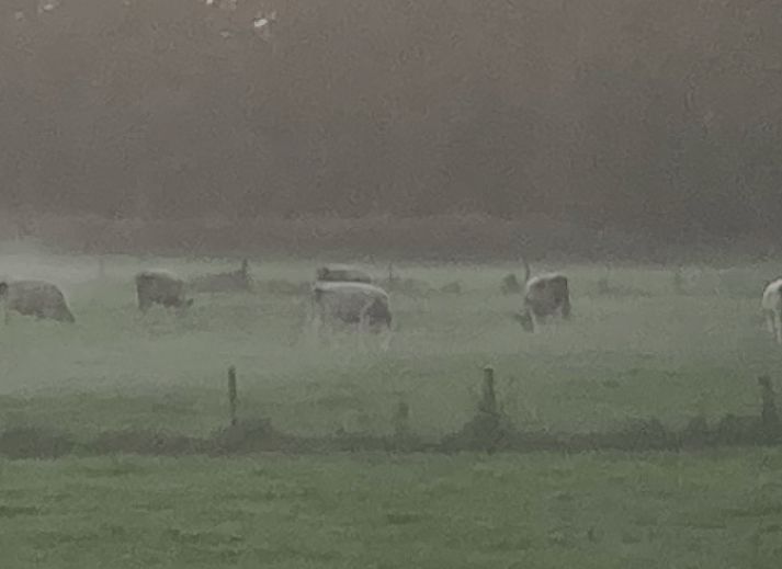 Gemuetlicher Innenraum des Ferienhauses in Voorstonden Gem. Brummen, Ferienhaus im Gelderse Vallei, Gelderland, mit bequemen Sitzgelegenheiten.