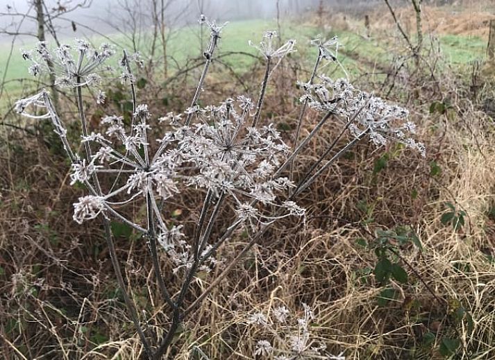 Gemuetlicher Innenraum des Ferienhauses in Voorstonden Gem. Brummen, Ferienhaus im Gelderse Vallei, Gelderland, mit bequemen Sitzgelegenheiten.