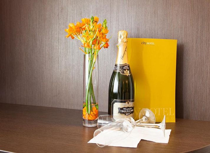 Guest house 304106 - Apartment Hart van Brabant - City Hotel Tilburg