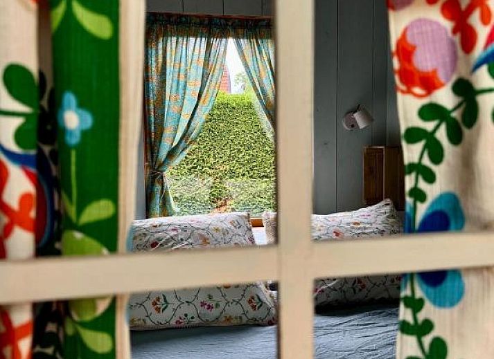 Charmanter Aussenbereich von In de Aap - Apartments & Guesthouse in Bergen, Nordholland, mit bunten Stuehlen und bluehenden Pflanzen.