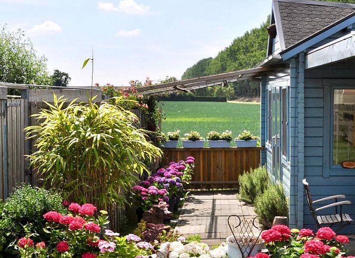 Unterkunft 306301 - Chalet Zeeuws-Vlaanderen - Artistiek Vakantiehuisje