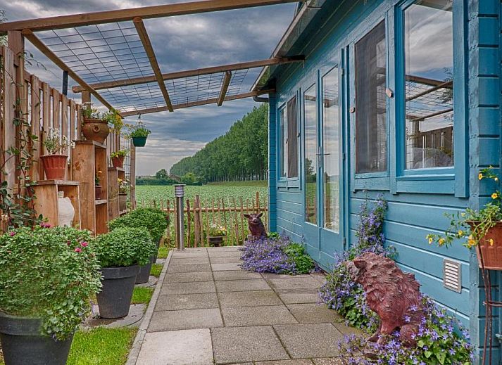 Unterkunft 306301 - Chalet Zeeuws-Vlaanderen - Artistiek Vakantiehuisje