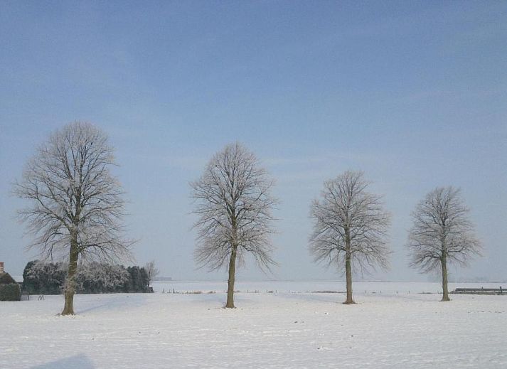 Unterkunft 306301 - Chalet Zeeuws-Vlaanderen - Artistiek Vakantiehuisje