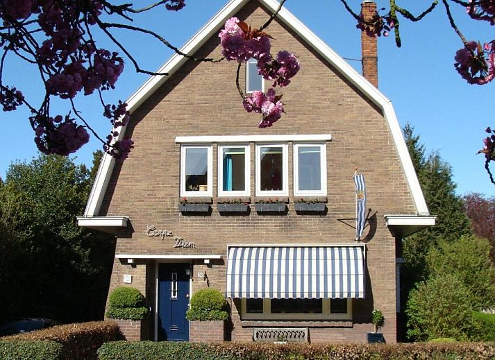 Guest house 306302 • Bed and Breakfast Zeeuws-Vlaanderen • B&B Carpe Diem 