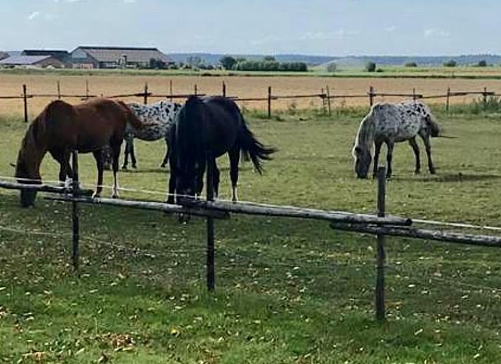 Gemuetliches Interieur von Huisje in Netterden, einem Ferienhaus in Montferland, Gelderland, mit bequemen Betten und einer schoenen Essecke.
