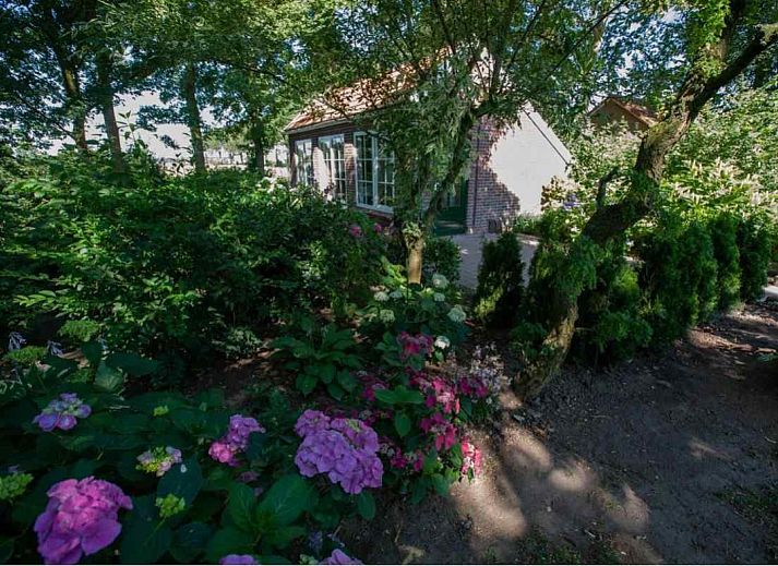 Vakantiehuis DG473 in Netterden Montferland omgeven door groene natuur.