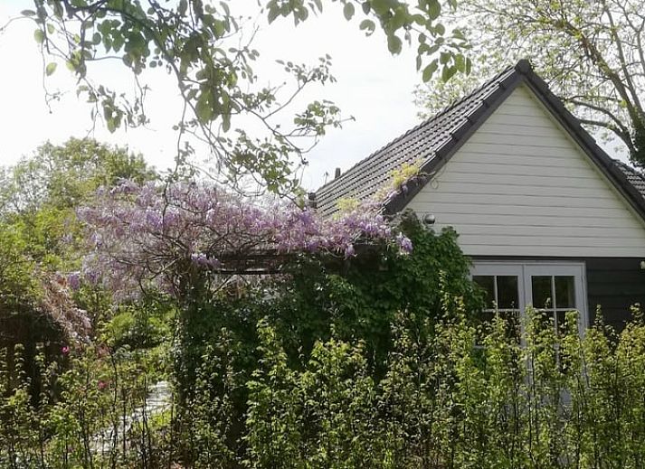 Guest house 310703 • Holiday property Montferland • Vakantiehuisje in Herwen