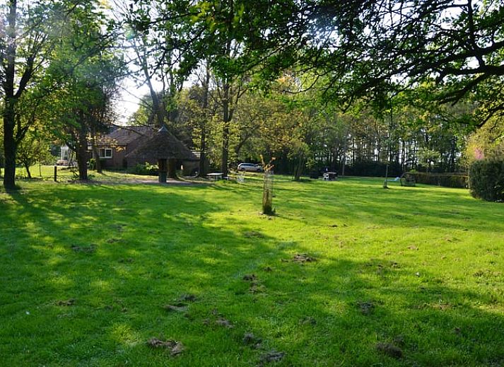 Unterkunft 311102 - Ferienhaus Montferland - Vakantiehuis in Loerbeek
