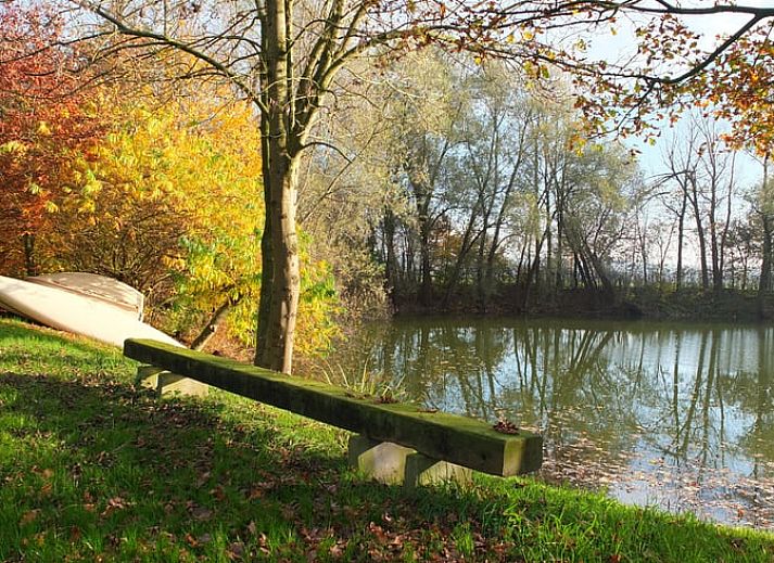 Unterkunft 311102 - Ferienhaus Montferland - Vakantiehuis in Loerbeek